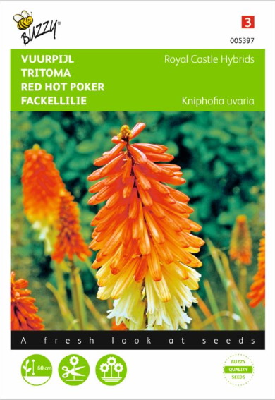 Tritoma Royal Castle Hybrids (Kniphofia uvaria) 450 seeds BU